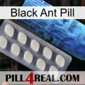 Black Ant Pill 34